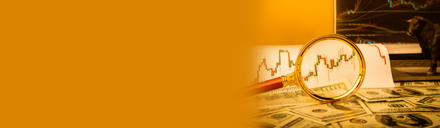 Mutual Fund Factsheet